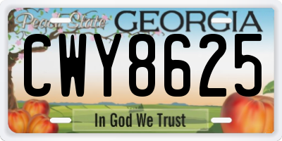GA license plate CWY8625