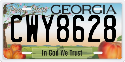 GA license plate CWY8628