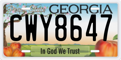 GA license plate CWY8647