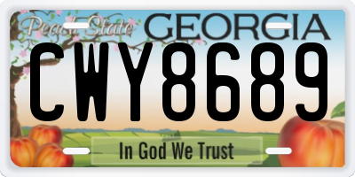 GA license plate CWY8689