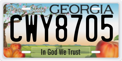 GA license plate CWY8705