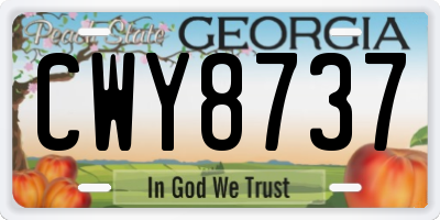 GA license plate CWY8737