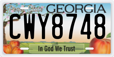 GA license plate CWY8748