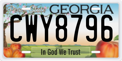 GA license plate CWY8796