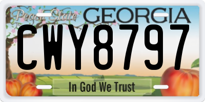 GA license plate CWY8797