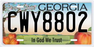 GA license plate CWY8802