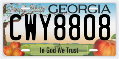 GA license plate CWY8808