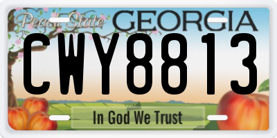GA license plate CWY8813