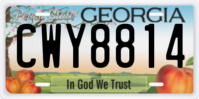 GA license plate CWY8814
