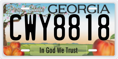 GA license plate CWY8818