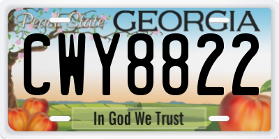 GA license plate CWY8822