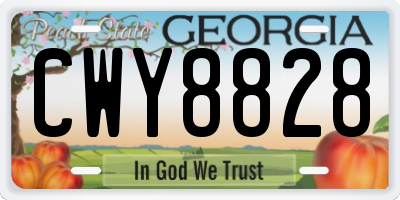 GA license plate CWY8828