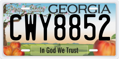 GA license plate CWY8852