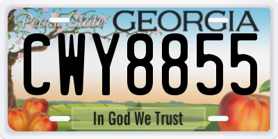 GA license plate CWY8855