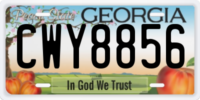 GA license plate CWY8856
