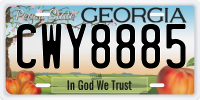 GA license plate CWY8885