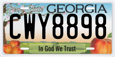 GA license plate CWY8898