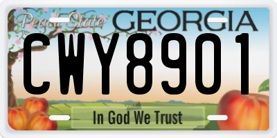 GA license plate CWY8901