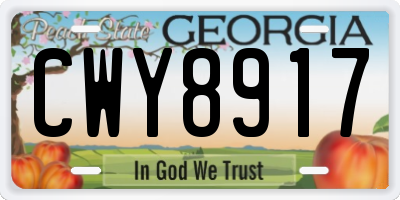 GA license plate CWY8917