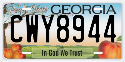 GA license plate CWY8944