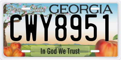 GA license plate CWY8951
