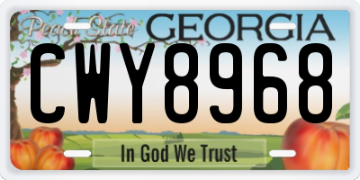 GA license plate CWY8968