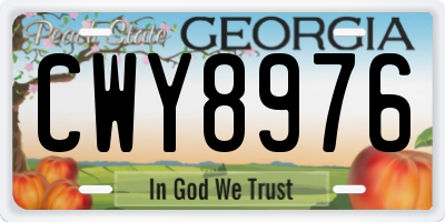 GA license plate CWY8976
