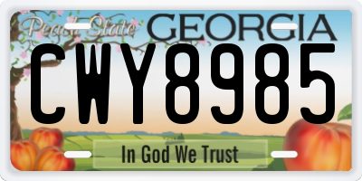 GA license plate CWY8985