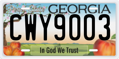 GA license plate CWY9003