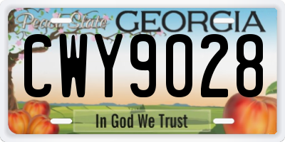 GA license plate CWY9028