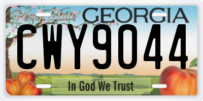 GA license plate CWY9044