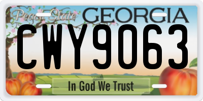 GA license plate CWY9063
