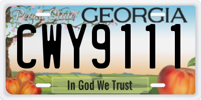GA license plate CWY9111