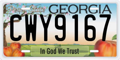 GA license plate CWY9167