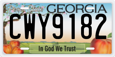 GA license plate CWY9182