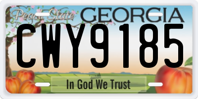 GA license plate CWY9185