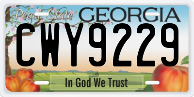 GA license plate CWY9229