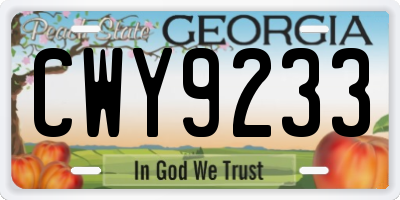 GA license plate CWY9233