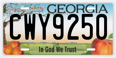 GA license plate CWY9250