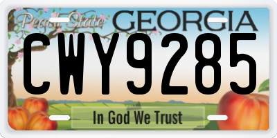 GA license plate CWY9285