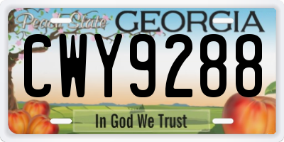 GA license plate CWY9288