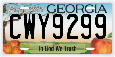 GA license plate CWY9299