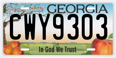 GA license plate CWY9303