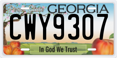 GA license plate CWY9307