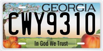 GA license plate CWY9310