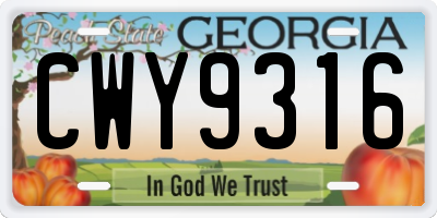 GA license plate CWY9316