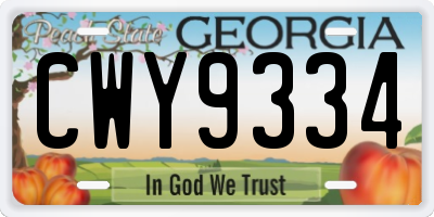 GA license plate CWY9334