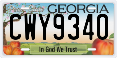 GA license plate CWY9340