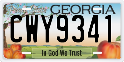 GA license plate CWY9341