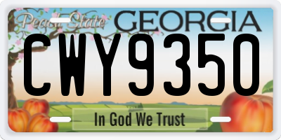 GA license plate CWY9350
